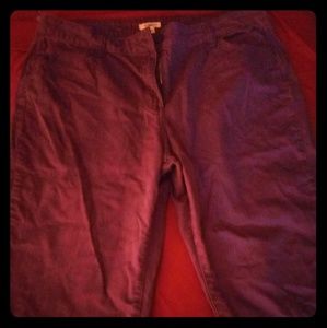 Purple capris from Cato
